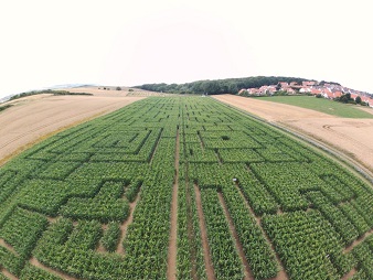 Le labyrinthe géant